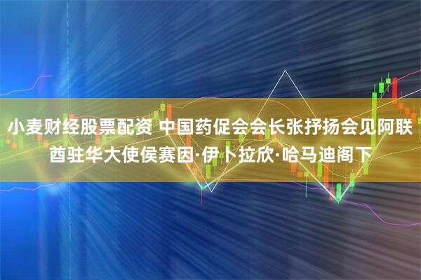 小麦财经股票配资 中国药促会会长张抒扬会见阿联酋驻华大使侯赛因·伊卜拉欣·哈马迪阁下